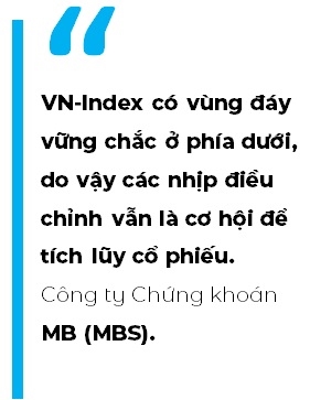 Thi truong chung khoan dieu chinh la co hoi de tich luy co phieu