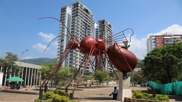 Tại thành phố Bucaramanga, những tác phẩm điêu khắc bằng kim loại khổng lồ đã được dựng lên để tỏ lòng tôn kính với loài côn trùng này. Nguồn ảnh: BBC.