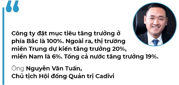 Top 50 2019: Cong ty Co phan Day cap dien Viet Nam