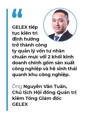 Top 50 2019: Tong Cong ty Co phan Thiet bi dien Viet Nam