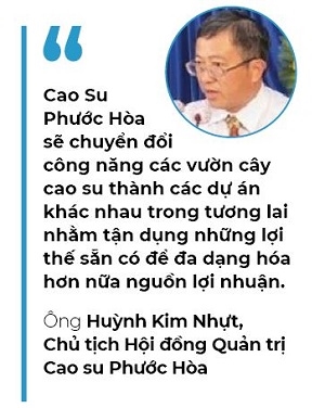 Top 50 2019: Cong ty Co phan Cao su Phuoc Hoa