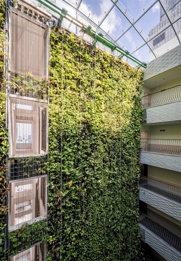 Blooming hanging garden covering over 1,000 sqm full of natural wind and sunlight                     inside the building. Photo: C.T Group