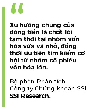 Dong tien tim kiem co hoi o nhom von hoa lon