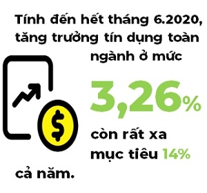 Thi truong chung khoan: Dong tien trong nuoc van doi dao