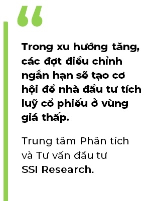 Vaccine “to xanh” VN-Index