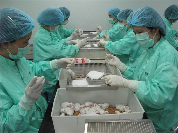 VABIOTECH đã thử nghiệm thành công vaccine COVID-19 trên chuột. Nguồn ảnh: BSCC.