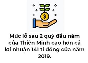 Kinh doanh thua lo, Vietravel va Thien Minh con tiem luc cho nganh hang khong?