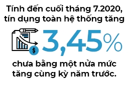 Tin dung kich tu dau?