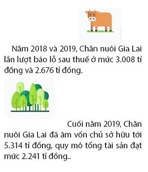 Bau Duc chuyen ngan ti dong no cua Chan nuoi Gia Lai thanh co phan