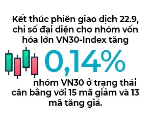 VN-Index se but pha nho luc do tu nhom von hoa lon