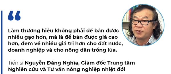 “Visa EVFTA” cho gao Viet