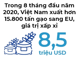 “Visa EVFTA” cho gao Viet