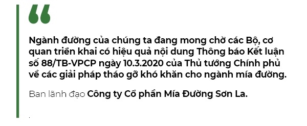Co dong cua Mia Duong Son La sap nhan 68,5 ti dong co tuc