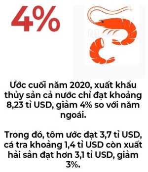 Xuat khau thuy san 3 thang cuoi nam se dat 2,3 ti USD?