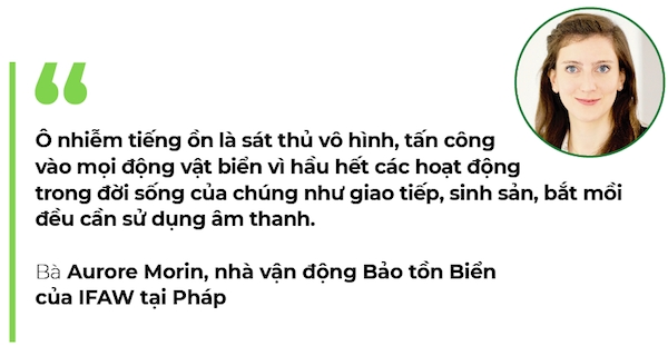 O nhiem tieng on: Sat thu dai duong