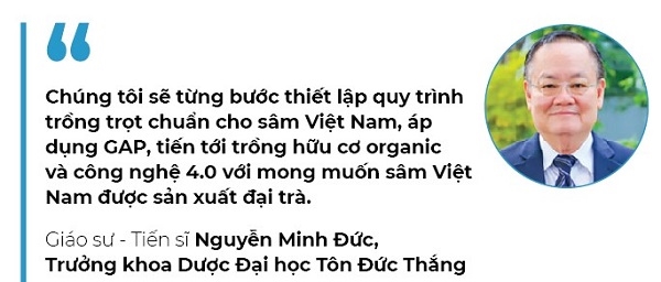 Khai mo vang duoc lieu Viet