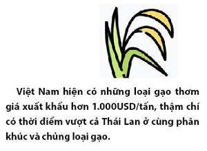 Gao Viet tang toc tren thi truong xuat khau lan noi dia