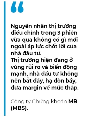 Nguyen nhan khien thi truong chung khoan Viet Nam giam manh