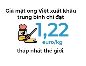 Tìm thương hiệu cho mật ong Việt