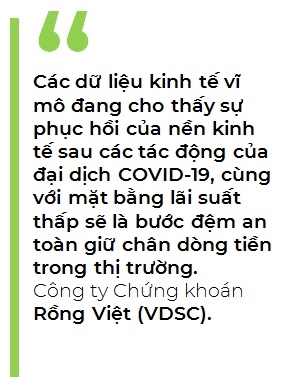 Thi truong chung khoan thang 11: Dieu gi se giu chan dong tien?