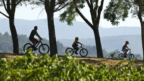 Có rất nhiều tuyến đường đạp xe ở Provence, Pháp cung cấp nhiều cách cho khách du lịch khám phá cảnh đẹp. Ảnh: Photo&Co.