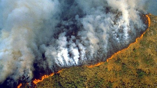 Các đám cháy đã thiêu rụi hơn 2.000 ngôi nhà và thiêu rụi 10 triệu ha (100.000 km2) đất - một diện tích lớn hơn cả Hàn Quốc hoặc Bồ Đào Nha. Ảnh: The Print.
