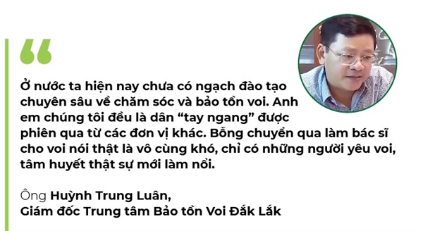 Hoi ket cho nghe thuan duong voi o Tay Nguyen