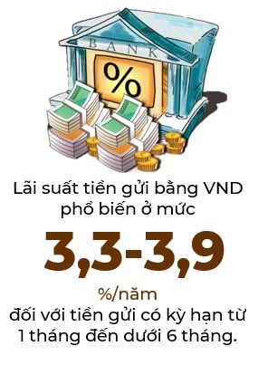 Nhieu co phieu dat vung gia cao nhat lich su