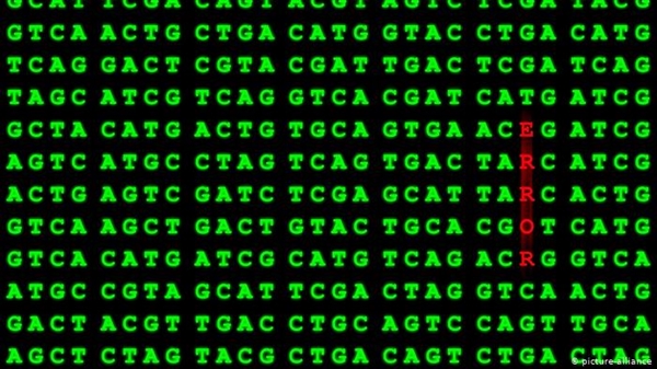 Lỗi sao chép xảy ra với mỗi lần sinh sản của virus, thay đổi mã di truyền. Ảnh: Deutsche Welle.
