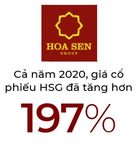 HSG tang 197% van chua dat ky vong cua cong ty rieng ong Le Phuoc Vu