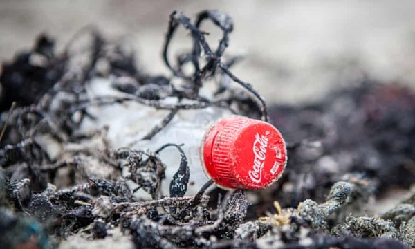 Chai Coca-Cola trên bãi biển ở Mull, Scotland. Công ty đã bị chỉ trích vì không từ bỏ nhựa sử dụng một lần. Ảnh: Greenpeace.