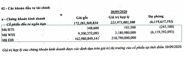 Danh mục đầu tư của Công ty hồi cuối quý III/2020. 