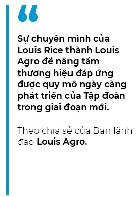 Mot doanh nghiep chuyen xuat khau gao se IPO trong nam 2021