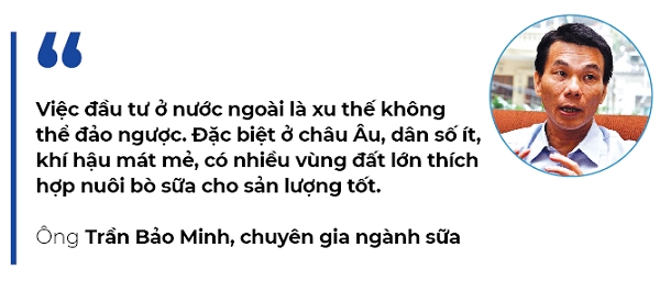 Sua noi tim trang trai ngoai