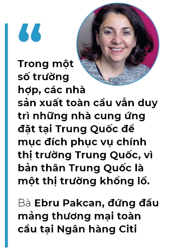 Go nut that cung ung