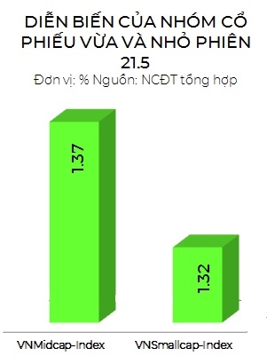 Dong tien dich chuyen sang nhom co phieu von hoa vua va nho