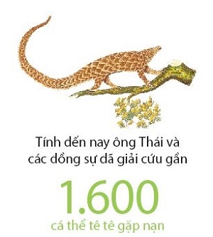 Tin Hoat dong Hoi - Nguoi Viet bon phuong (733)