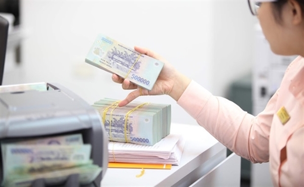 Việt Nam đã có những tiền đề vững chắc như các nước trong khu vực để có thể thực hiện đưa dần lãi suất tiền gửi về mức 0%/năm.  Ảnh: TL. 