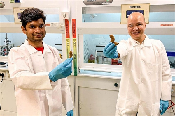 Nghiên cứu viên cấp cao Thambidurai Mariyappan (trái) của NTU và Trợ lý Giáo sư Cường Đặng (phải). Vỏ me là một vật liệu lý tưởng để làm các tấm dẫn điện. Ảnh: NTU Singapore.