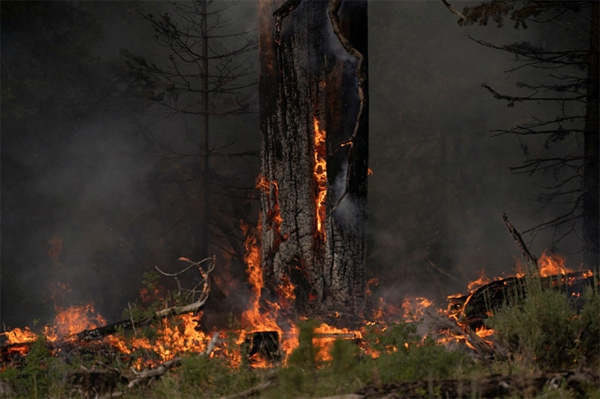Hàng trăm đám cháy rừng lớn, nhỏ bùng phát ở miền tây Mỹ và Canada. Ảnh: Reuters.