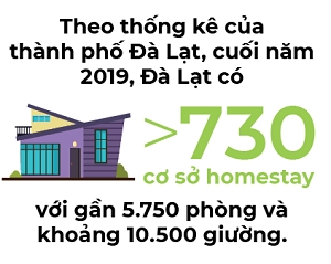 Homestay Da Lat het thoi mong mo