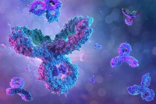 Loại kháng thể mới được kỳ vọng có thể giúp phát triển các liệu pháp chống COVID-19. Ảnh: Shutterstock.