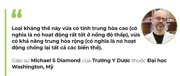Phat hien khang the chong duoc nhieu bien chung cua COVID-19