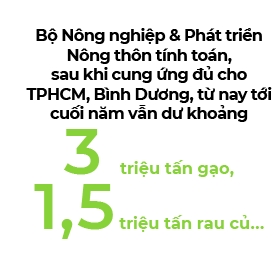 Pho Thu tuong kiem tra viec cung ung thuc pham cho TP.HCM