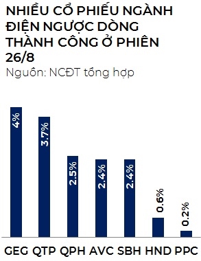 Co phieu dien “phat sang”