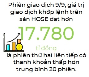 Nha dau tu co the nam giu ti trong co phieu cao trong danh muc