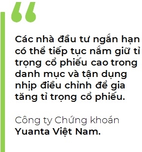 Nha dau tu co the nam giu ti trong co phieu cao trong danh muc