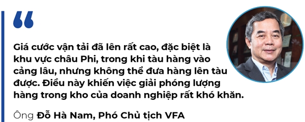 Cuoc van tai bien tao hieu ung domino