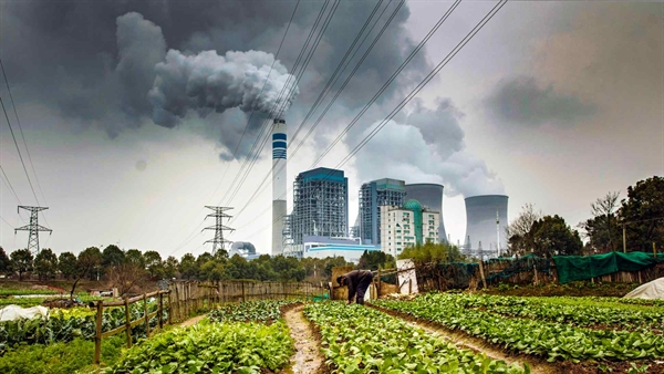 Một nông dân trồng rau trên cánh đồng gần nhà máy nhiệt điện than ở tỉnh An Huy, Trung Quốc. Khi Hoa Kỳ và EU tiếp tục loại bỏ dần sản xuất nhiệt điện than để hạn chế biến đổi khí hậu, thị phần tiêu thụ than toàn cầu của châu Á đã tăng gấp đôi trong 20 năm qua. © Hình ảnh Getty