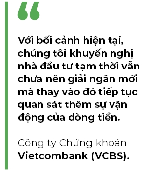 Voi boi canh hien tai, nha dau tu nen dung ngoai hay mua luc chinh?